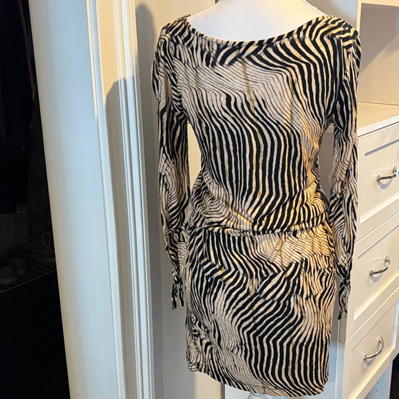 Zebra Patterned Mini Dress - Picture 2 of 6